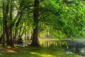 青少年应自强不息议论文作文900字（精选20篇）图片