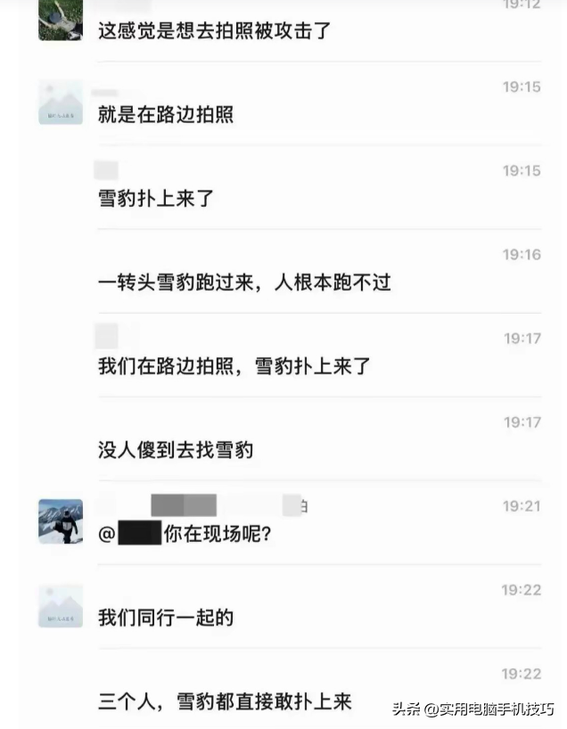 雪豹咬人内幕曝出！村支书还原真相，央视发文怒批，当事人被打脸