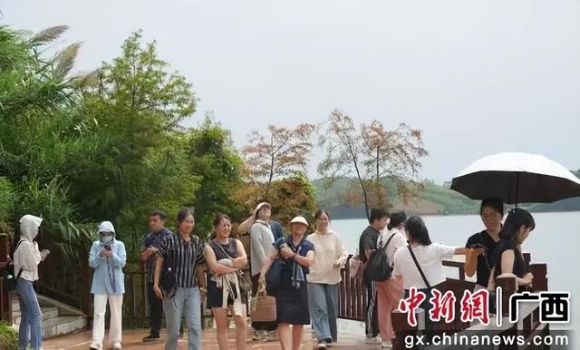广西横州推出茉莉闻香之旅，展“世界茉莉花都”魅力