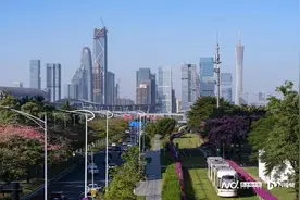 华丽转身！琶洲迎“高光时刻”图片