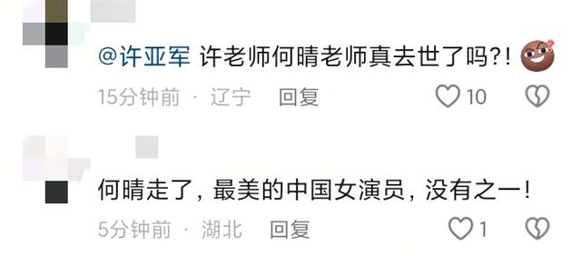 何晴去世,年仅61岁,患脑瘤多年,前夫许亚军评论区泪目了