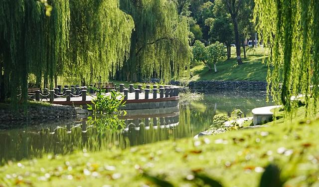 河畅水清景美!郫都母亲河“焕颜”,解锁亲水宜居新体验