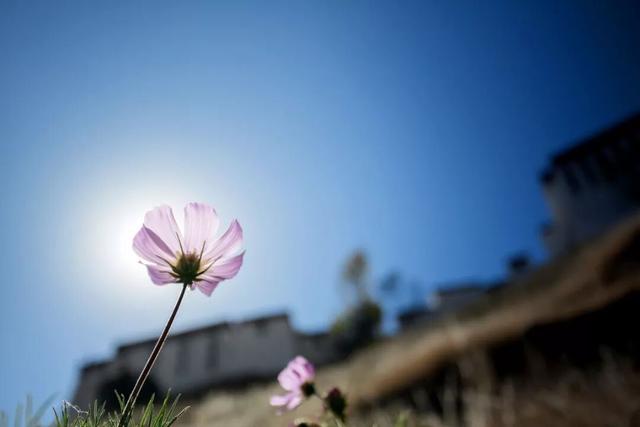 初次进藏必看！这些地方美到让人忘不了