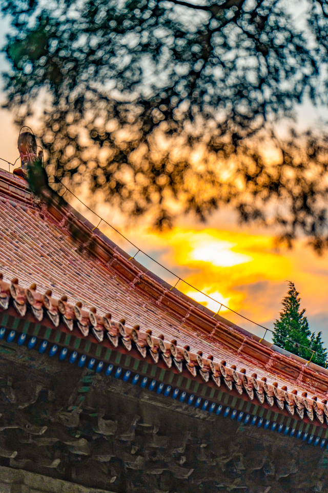 用四时好景打开曲阜三孔景区，留存每一帧中式浪漫！