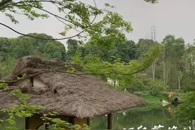 成都最好看的公园，你去过几个？图片