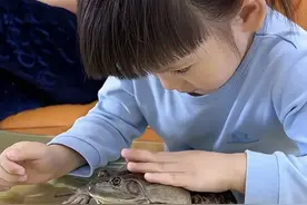 小女孩把牛蛙带进幼儿园吓哭众小朋友，回到家后结果让人哭笑不得图片