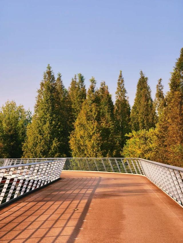 逛起来！8小时10个公园！