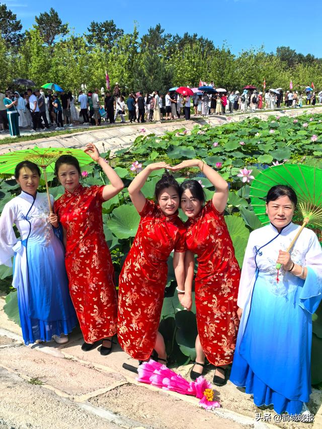 甘南县兴十四村第三届荷花节盛大开幕