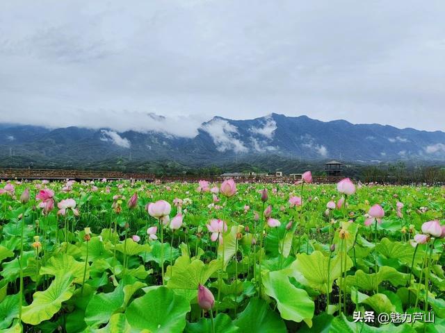 溶洞、冰泉、星空，芦山私藏18℃夏日“避暑游”火了！