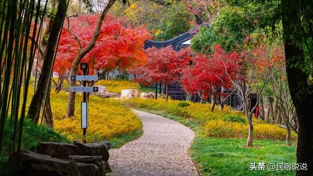 苏州居然还藏着一个“中国四大枫叶胜地”！