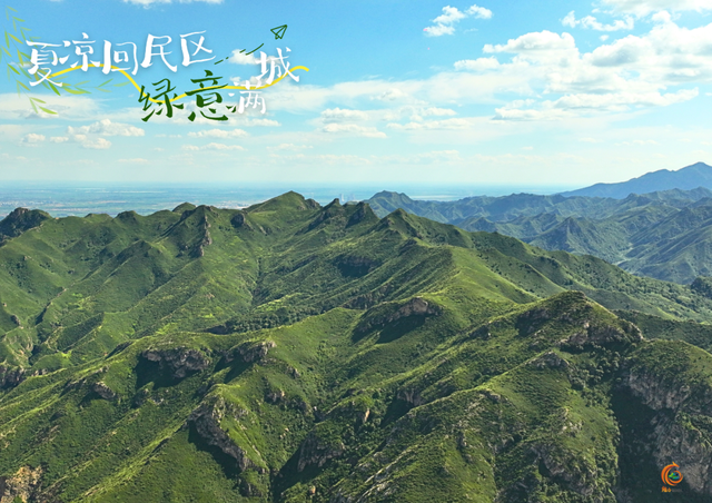 呼和浩特市回民区的夏天，是“植”得N刷的绿！