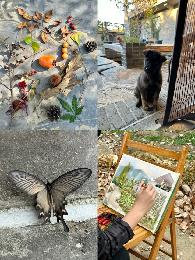 跟着色彩游临沂 | 斑斓秘境・山水写生之旅，解锁秋染沂蒙的N种美好