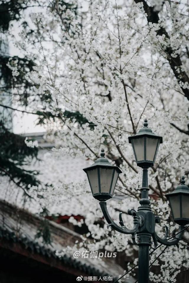 2025四季巡礼！100位寻美客邀你共绘最美泉城图鉴