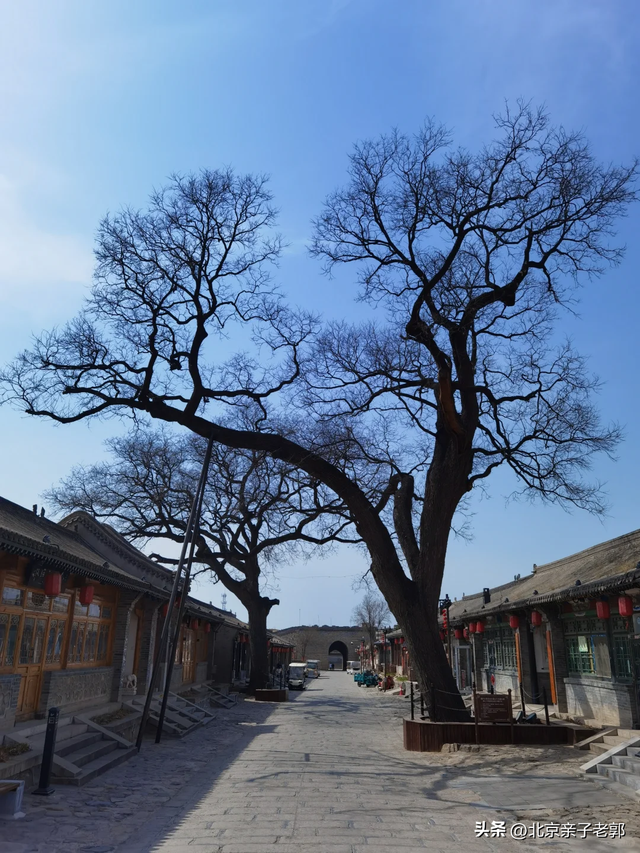 延庆岔道古城·冬日静心攻略