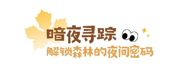 如果秋天只能去一个地方，那一定要来二郎山喇叭河！