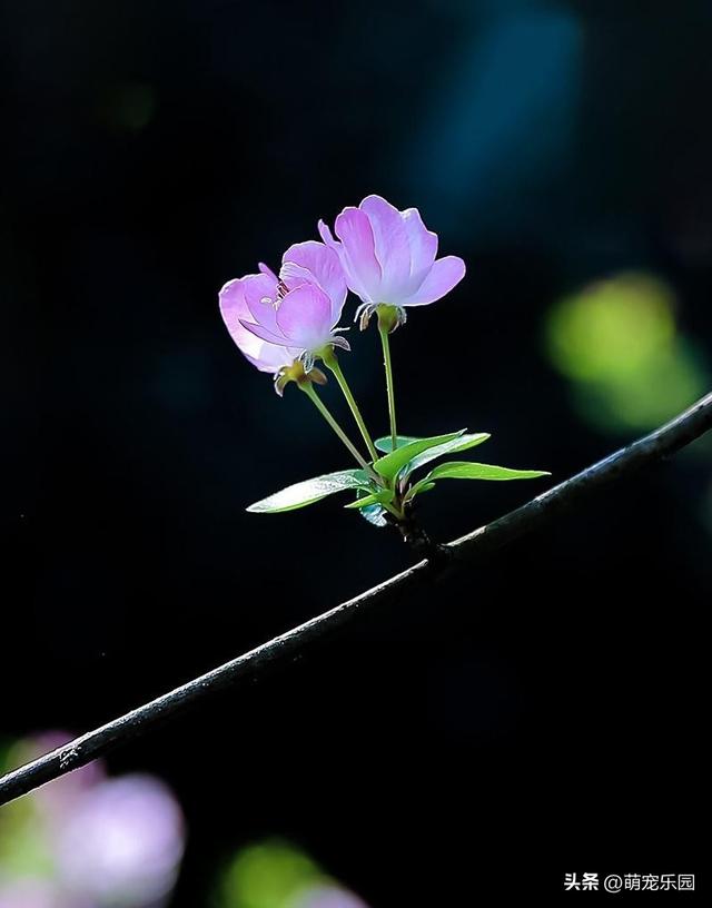 摄影追求清爽感	，高手走减法路线，果断舍弃刺眼元素