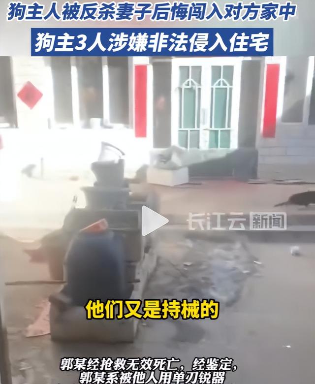 狗咬人反杀案越扒越深，曝死者妻子吞他人装修钱，惨案也与她有关