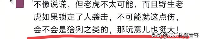 湖北恩施一村民干农活时被老虎抓伤：持锄头敲了它几下 摇摇头走了