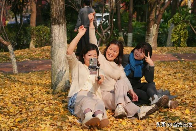 错过等明年！宜宾今年宝藏银杏打卡地合集在这里