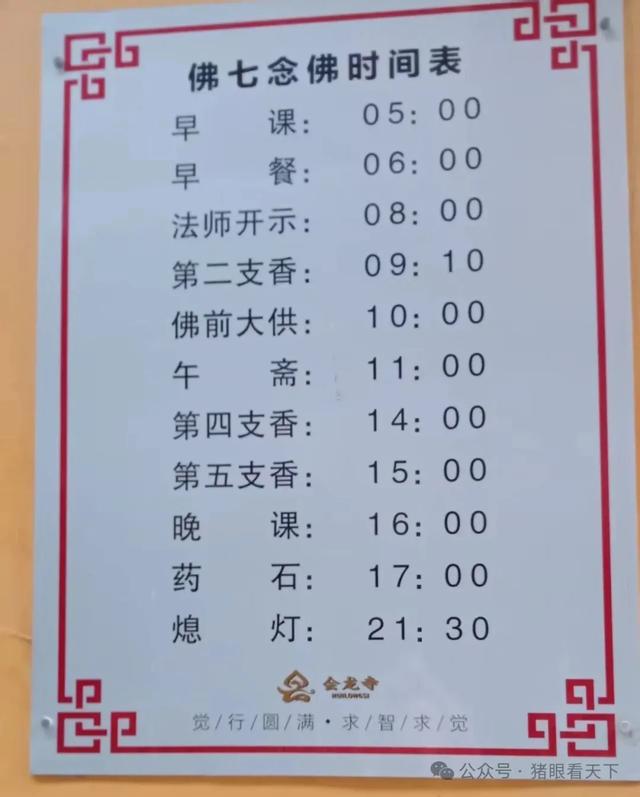 一次浦东乡村的深度二日游