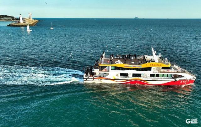 喂海鸥、赏夕照，青岛海上观光迎来最佳时节