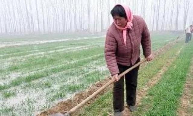 立冬下雨兆头不好？俗语“立冬下了雨，新坟遍地起”背后的真相！
