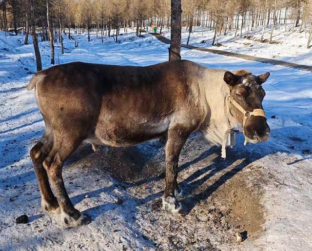 游览乌兰布统影视外景基地