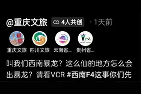 叫我们西南暴龙？西南四省文旅共创视频反驳，评论区让我笑麻了图片