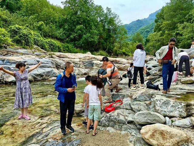 入伏了！黄柏塬带你走进19℃的夏天，云雾缭绕的山野避暑秘境