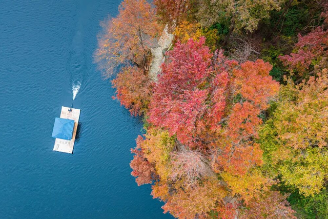 音乐嘉年华后别走！黄陂还有隐藏副本等你解锁！