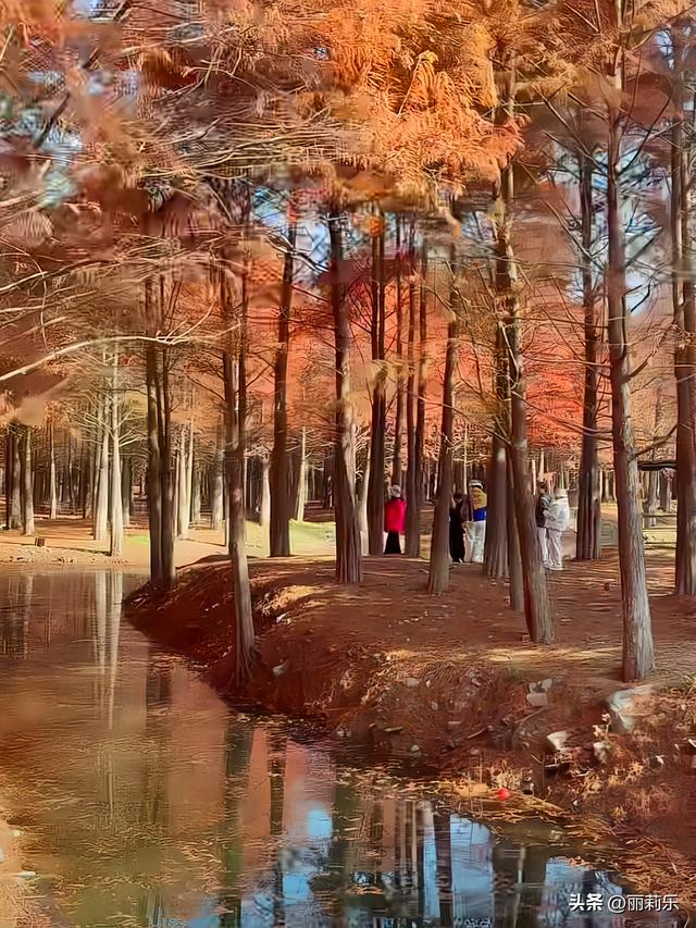 这个冬天，我撞见了一整片燃烧的森林