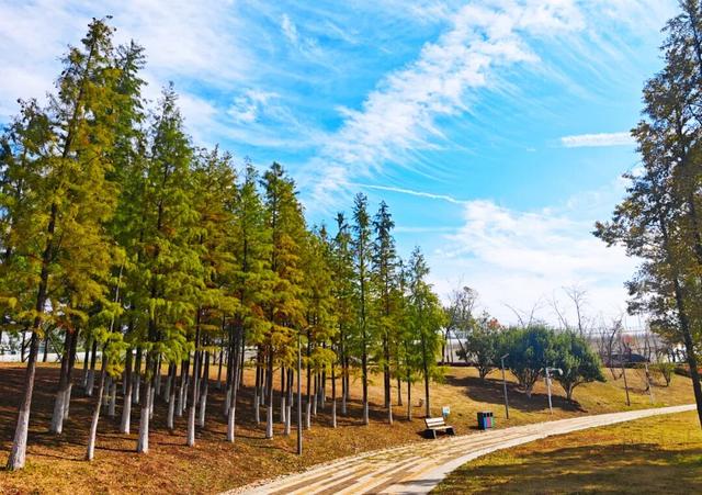 是谁？！打翻了“新区公园”的调色盘