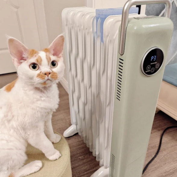 被年轻人的“油汀取暖器用法”惊到了，换个思路后，根本停不下来