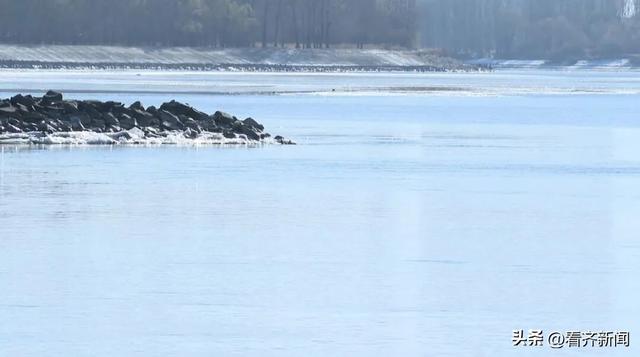 鹤城这里“摇身一变”，太惊艳！