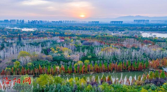 伊水游园冬景如画