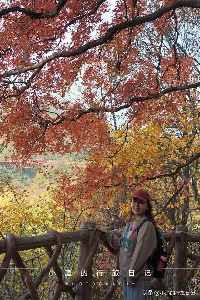 红叶、玻璃湖、悬空栈道！陕西秦岭绝美赏秋地，又到一年最美时