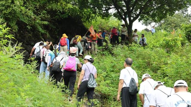 怀集桥头这条古道，火了！