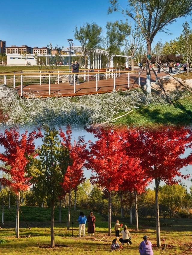 此刻的北京，见证秋与冬的双向奔赴