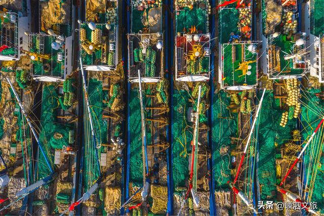 这才是嵊泗秋日最美画卷。嵊泗游子看了就想买票回岛！