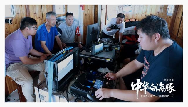 纪录电影《中华白海豚》今日上映，解锁粤港澳大湾区生态人文密码