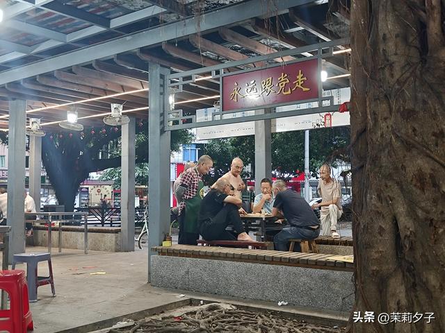 福鼎市区一日游：从白茶发源地到市井小吃赏唐风建筑品山海韵味