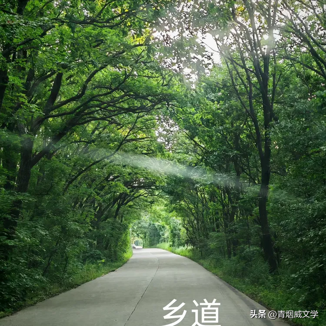 八月闲云行：内蒙古 黑龙江