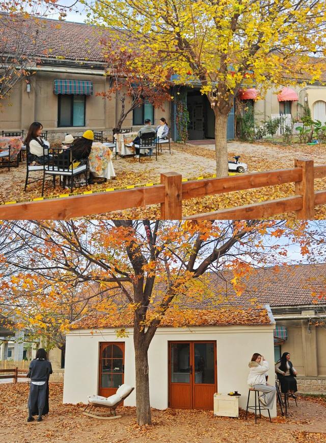 出片率UP！UP！UP！潍坊这里好美啊！