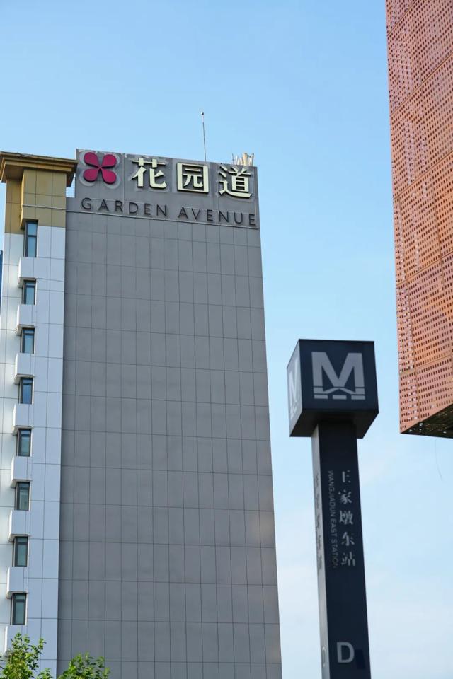 周末N次方 | 黄鹤、星河…… 江汉地下藏着多少惊喜？