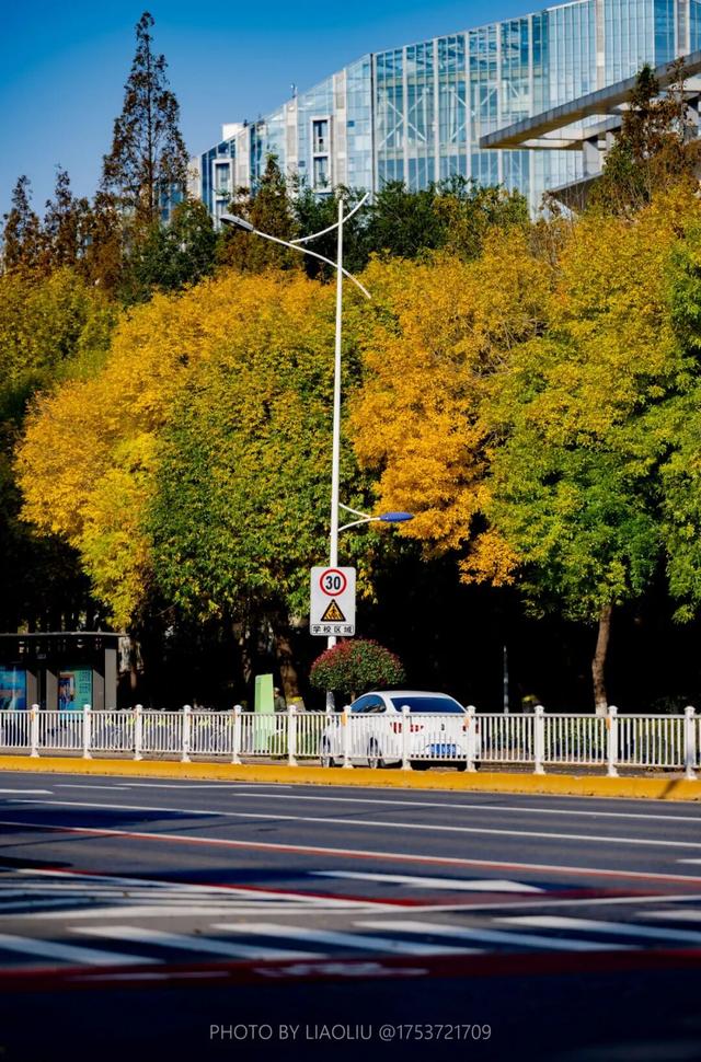 “焦糖色秘境”上线！超级出片！日照这里错过再等一年！