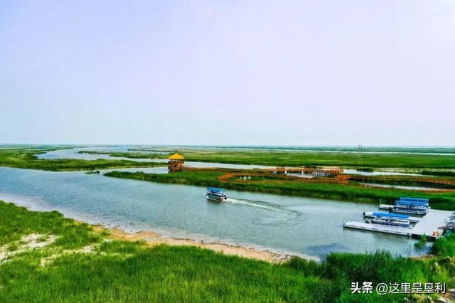 跑东马 来垦利，吃住游看这篇就GO了→