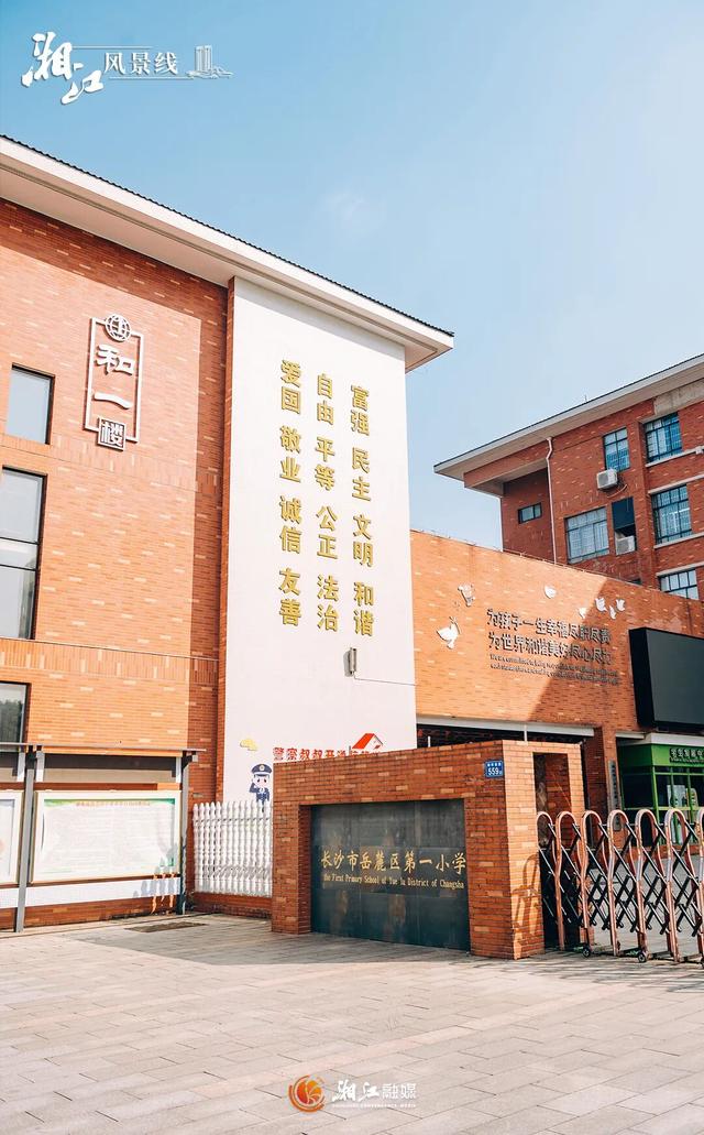 这样的桐梓坡，你一定没见过！