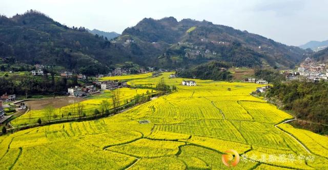 “我在开花，她们在笑” 这就是习水最棒的春天