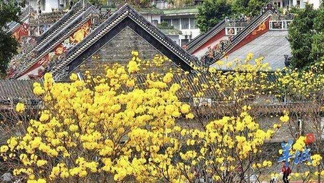 广州市2025年行政区划及旅游攻略