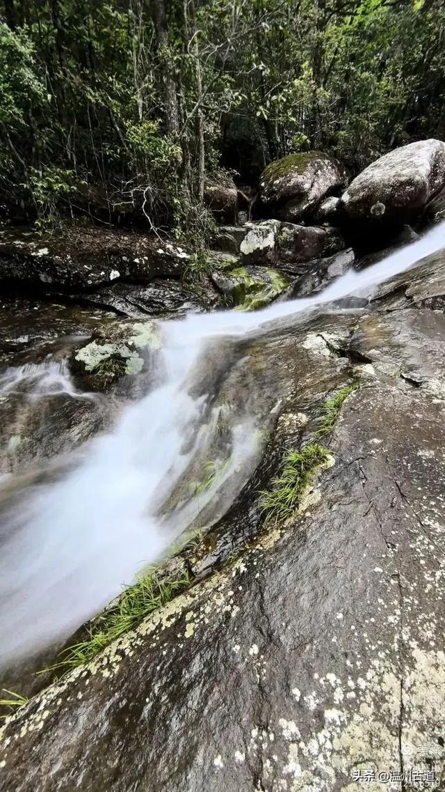 真正的小众避暑胜地！这方秘藏于千米高山之上的清凉秘境等你来！